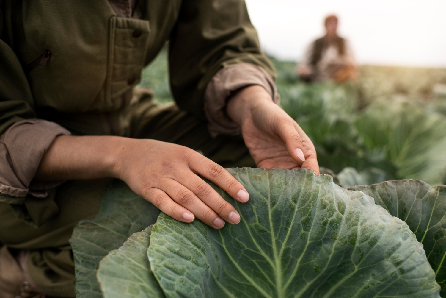 Environmental Sustainability in Agriculture