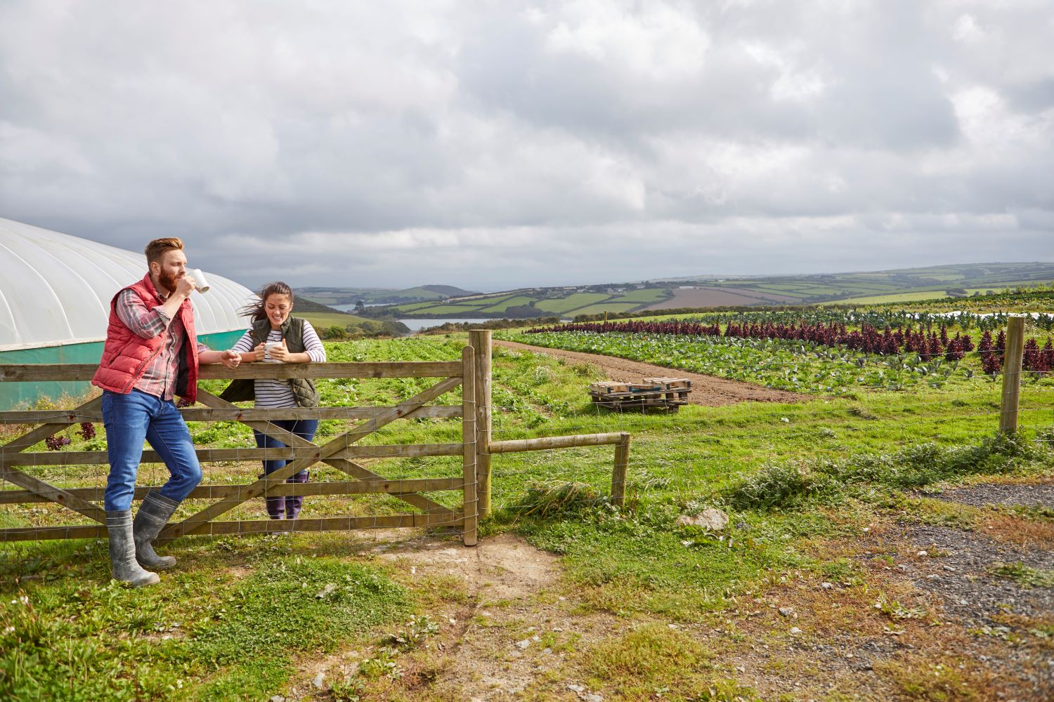 ฟาร์มอินทรีย์เพื่อสุขภาพดิน